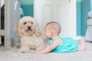 Alergologia Pediatrica - Alergias a las mascotas en niños