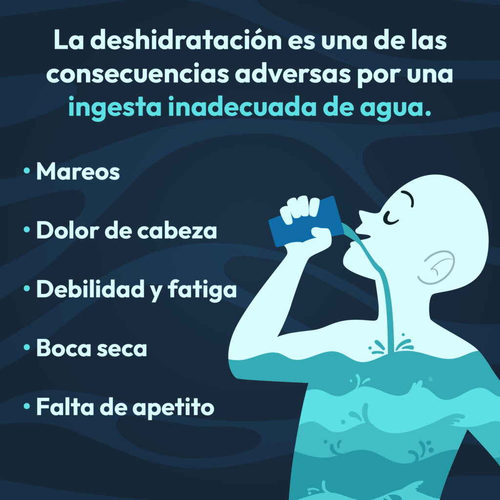 La importancia de tomar agua.